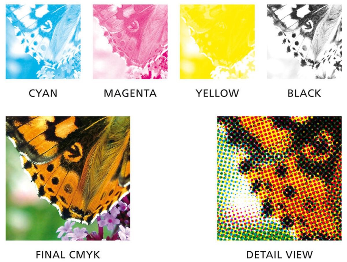 4 Color Process