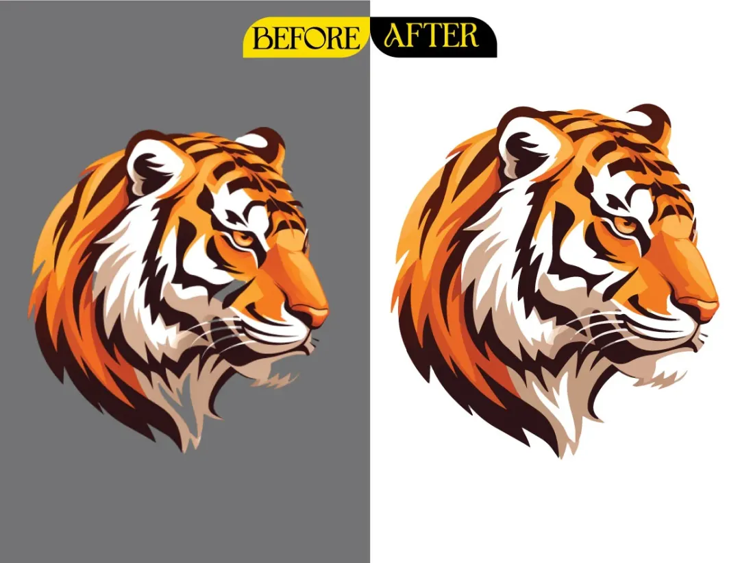 Before / After Conversion digitizing sample
